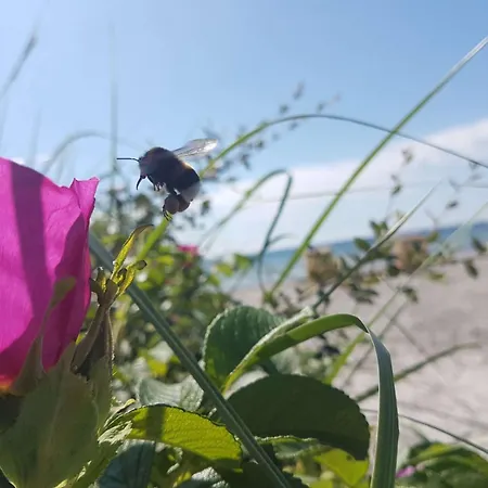 Sonnendeck 27 - Апартаменты